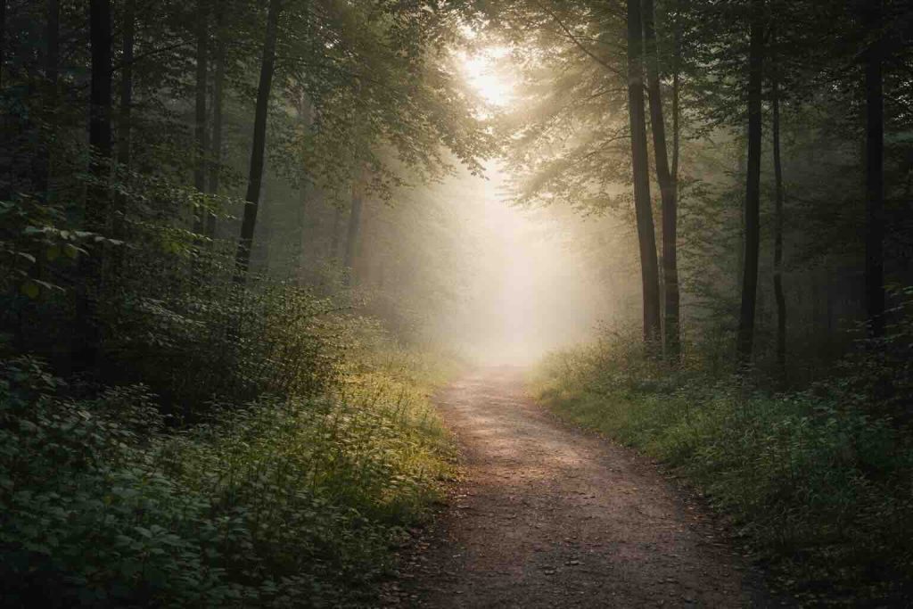 Skovsti i blødt morgenlys som symbol på moderat depression og gradvis klarhed
