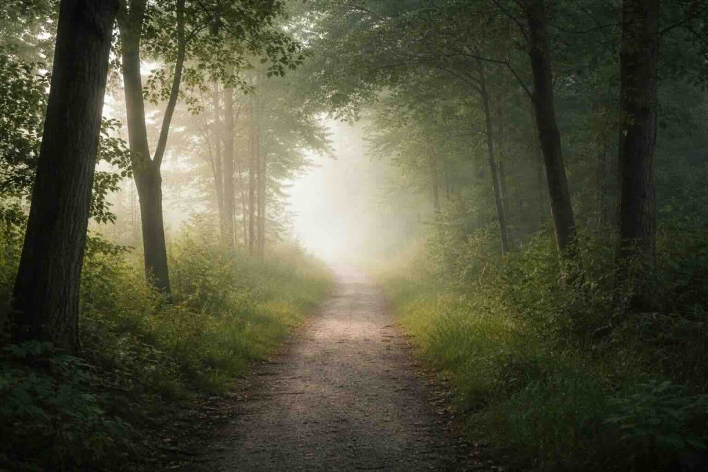 Sti i tåget skov som symbol på tilbagevendende depression og episodisk forløb

